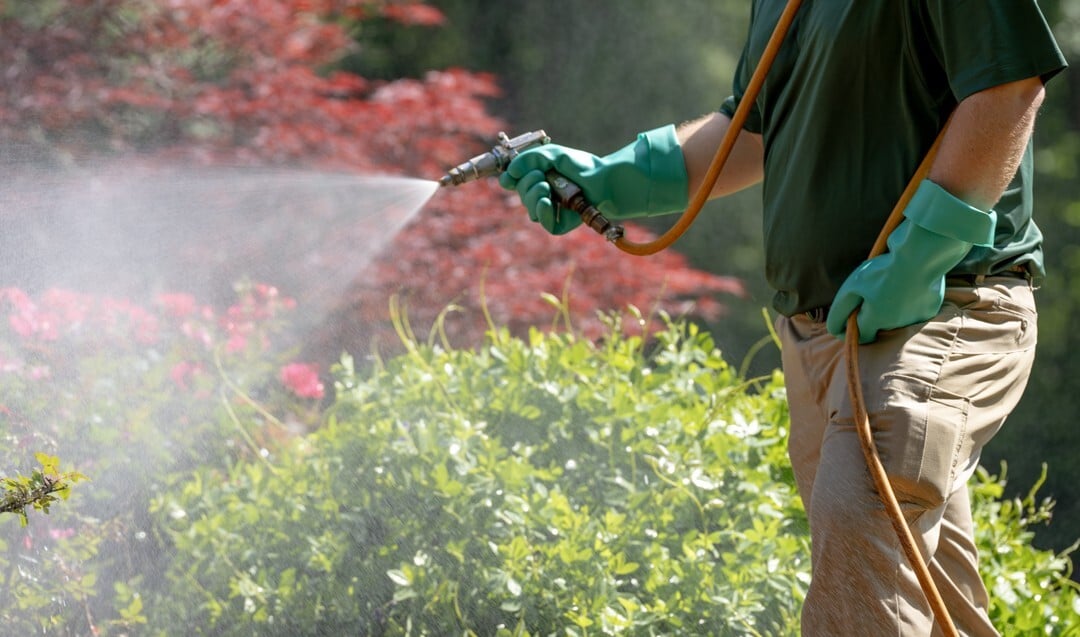 Turf Doctor Oakland Maine lawn care and pest control treatment in backyard