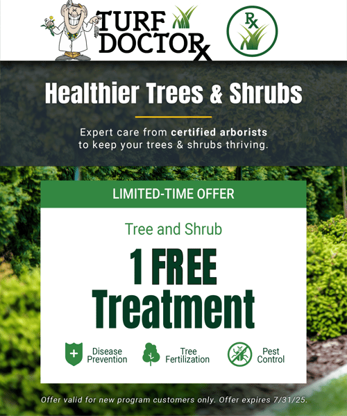 TD__Shrub_Ad_480x576+-14