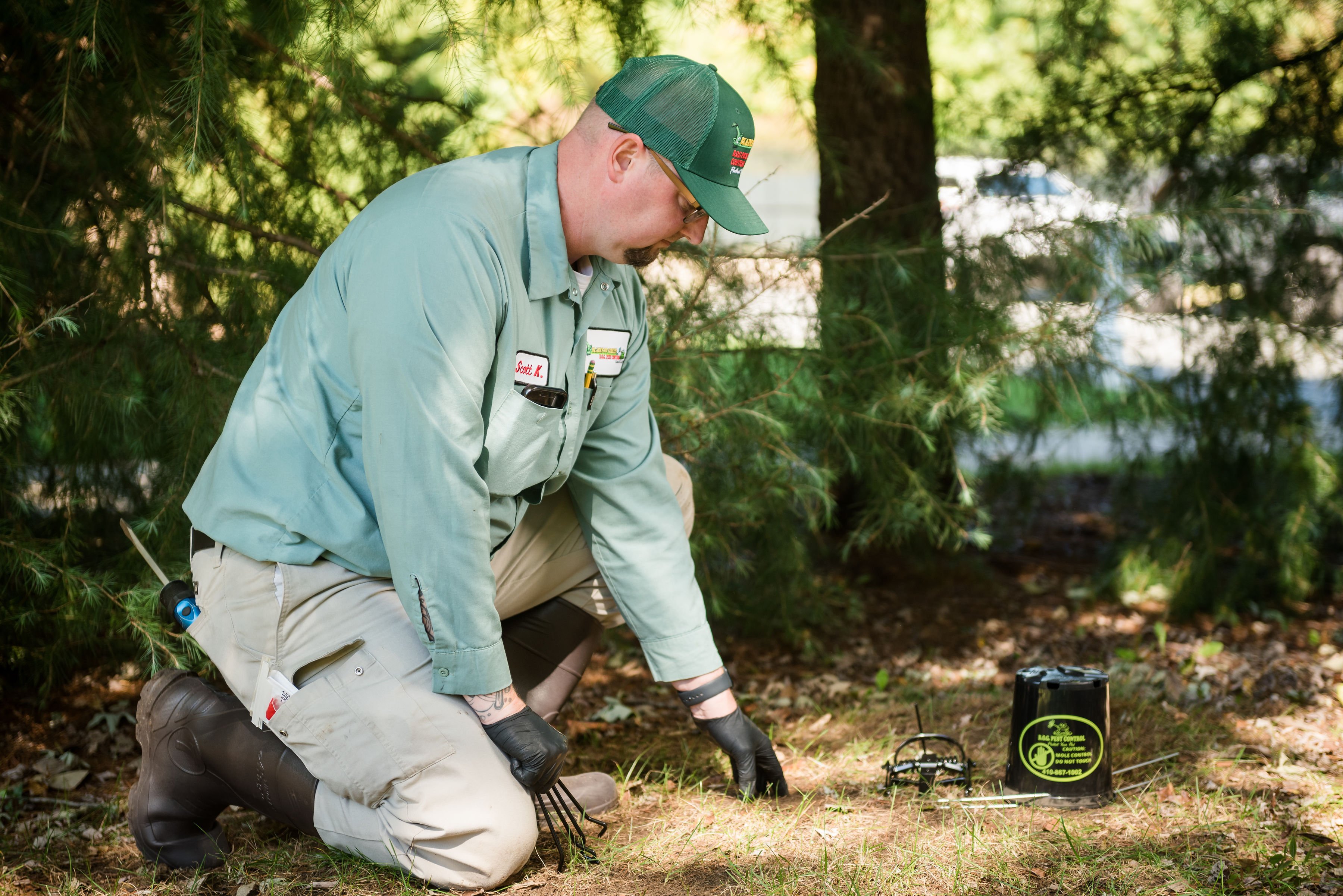 lawn care and pest control services in belgrade me