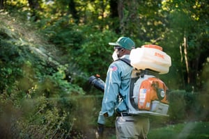 lawn tech from turf doctor lawn care spraying browntail moth treatment