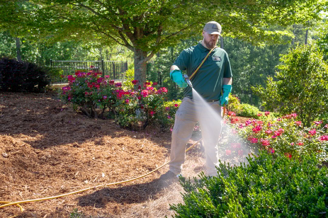 oakland turf doctor technican spraying for ticks