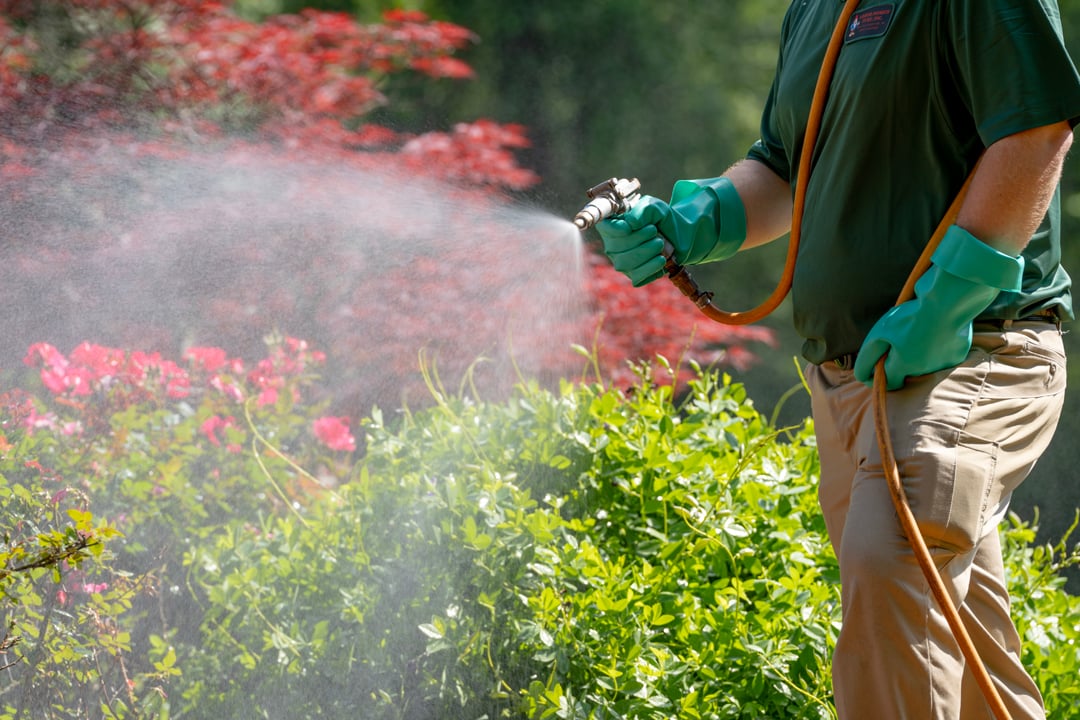 turf doctor lawn techinican applying treatment for ticks in belgrade me