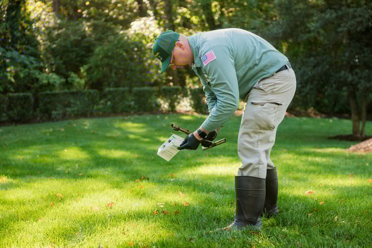 turf doctor lawn technician applying grub control in belgrade lawn