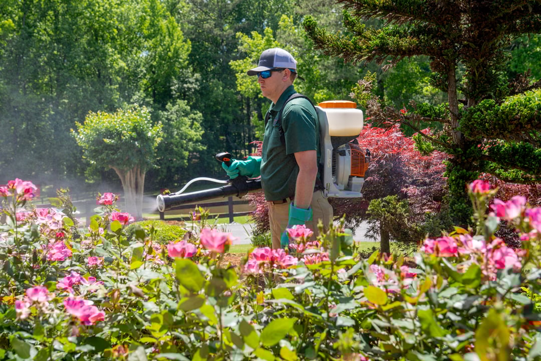 turf doctor lawn technician applying organic tick and mosquito treatment in hallowell me