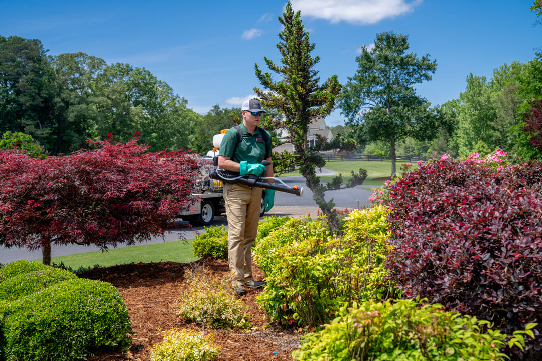 turf doctor lawn technician applying organic tick treatment in augusta