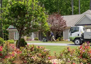 turf doctor manchester lawn tech providing lawn care to lawn-1