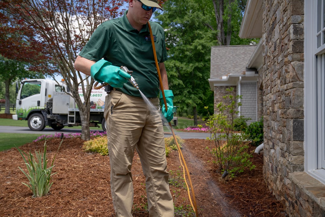 turf doctor manchester lawn tech providing vegetation management service