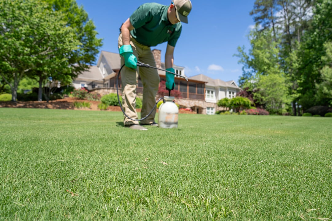 turf doctor manchester spot treating for grub control