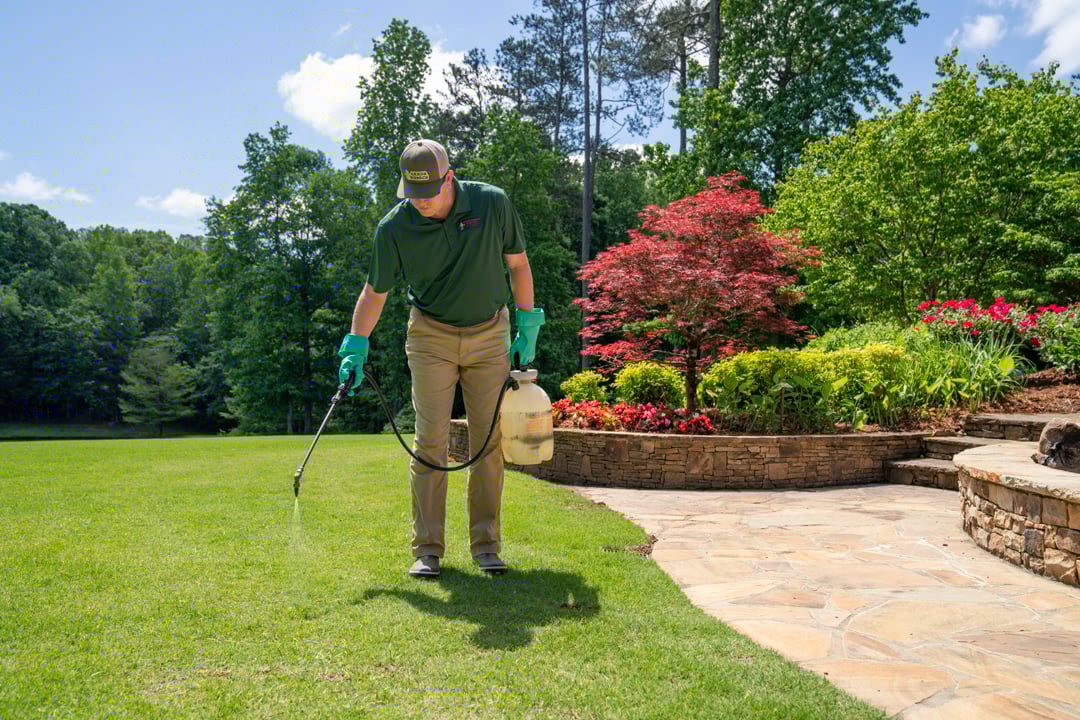 turf doctor winthrop lawn tech spot treating weed control
