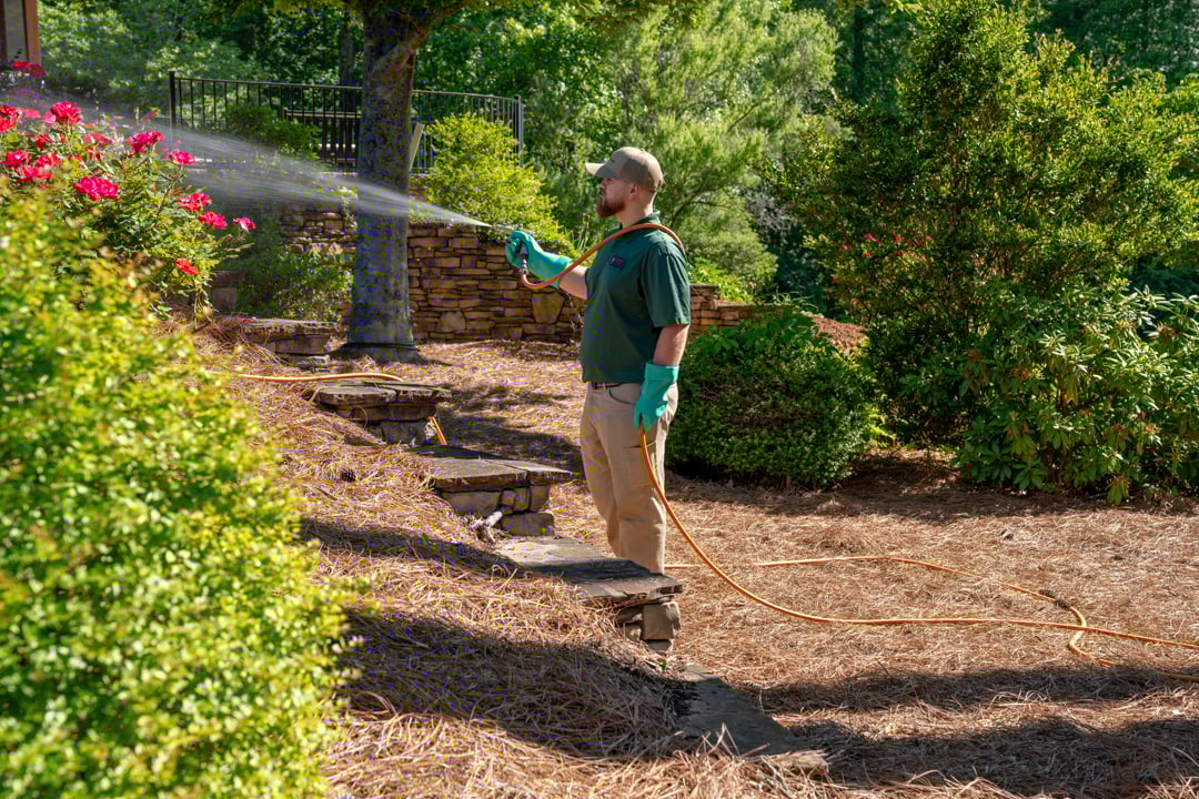 turf doctor winthrop maine technician applying tick control to yard