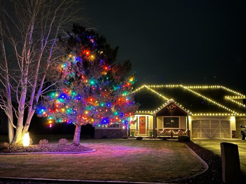 Residential holiday lighting on trees, walkways and landscapes